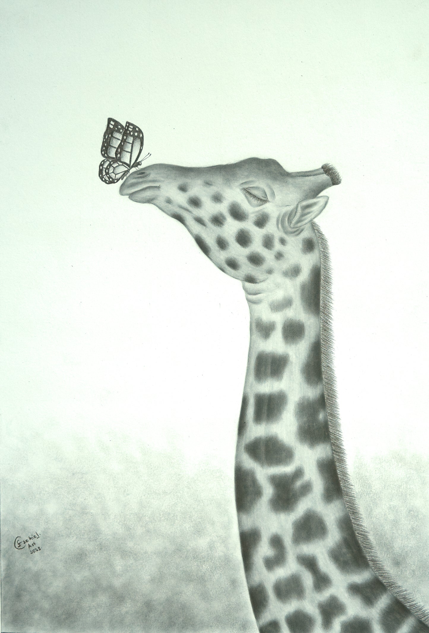 Care and Respect 05