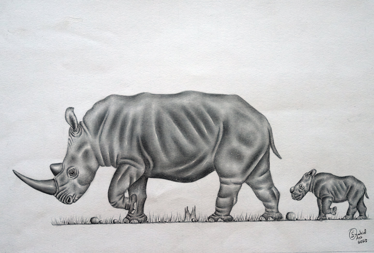 Trek of the Rhinos