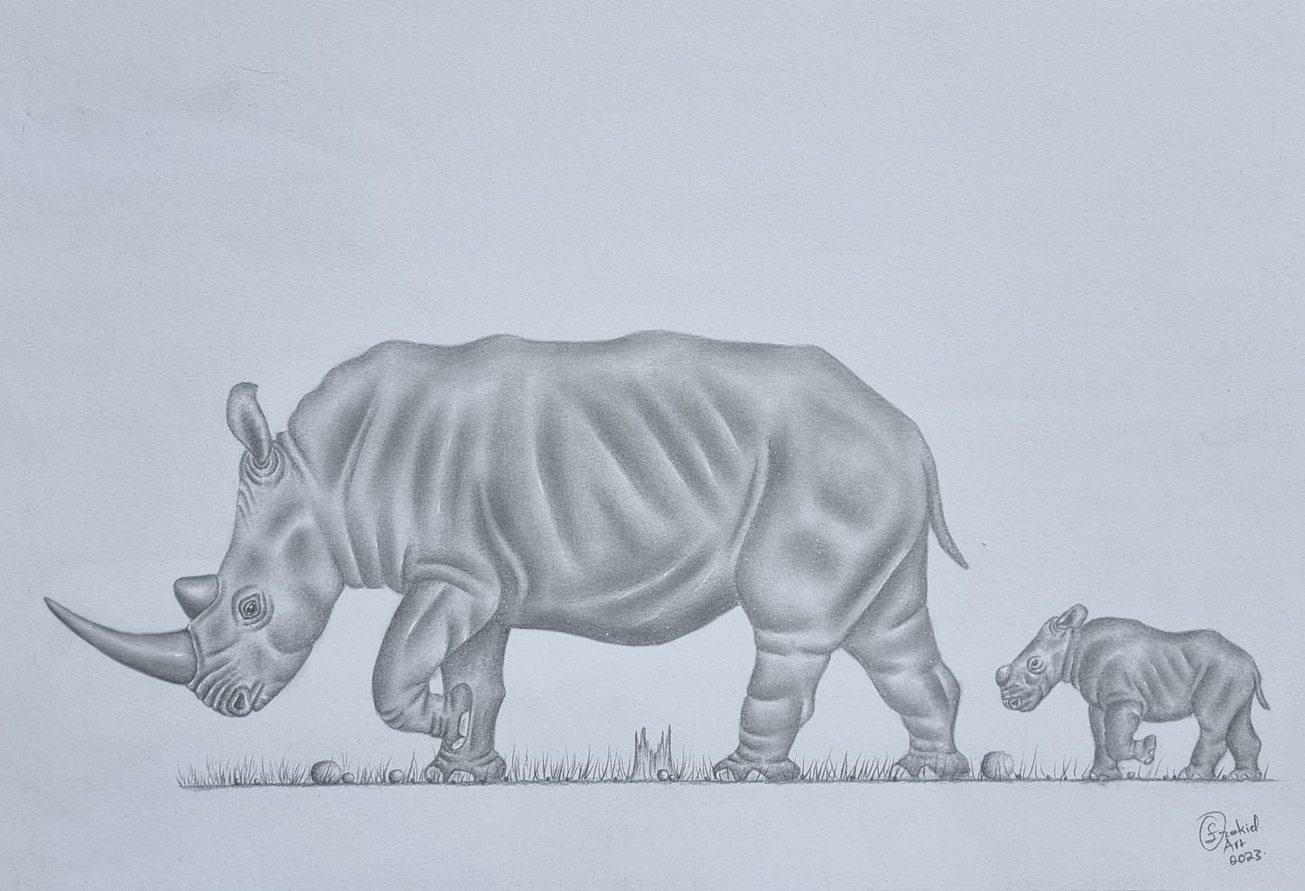 Trek of the Rhinos