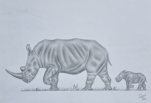 Trek of the Rhinos