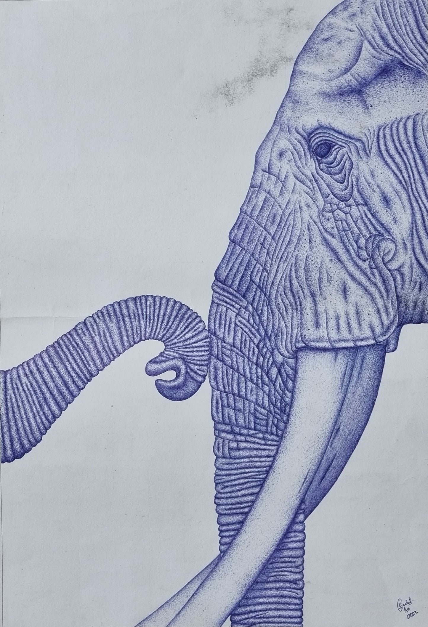 Elephant